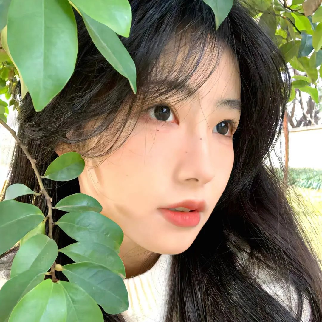 非正式会谈第6.5季